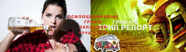 дмт Бронницы