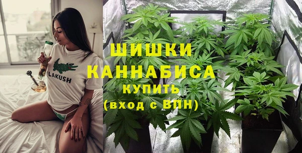 apvp Бородино