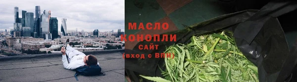apvp Бородино