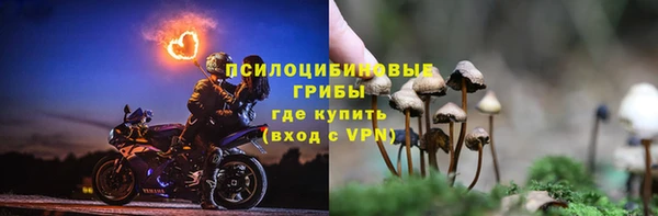 амф Бугульма