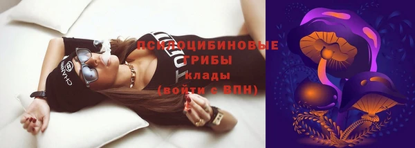 дмт Бронницы