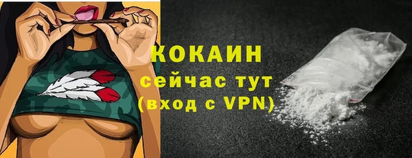 apvp Бородино