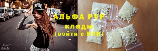 apvp Бородино
